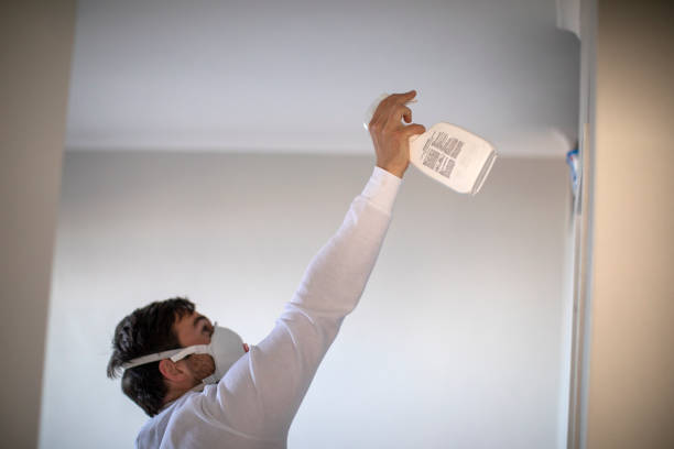 Best Mold Damage Repair  in Tiffin, OH